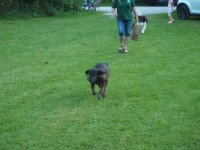 Kaiserschießen 2019